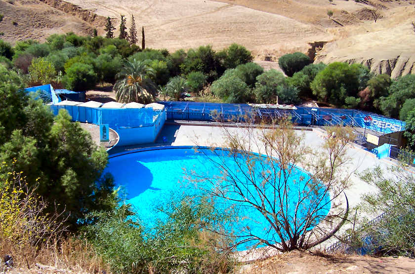 sidi_harazem_piscine